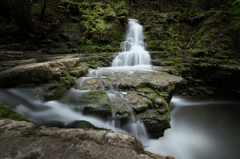 Wilderness Water Purification